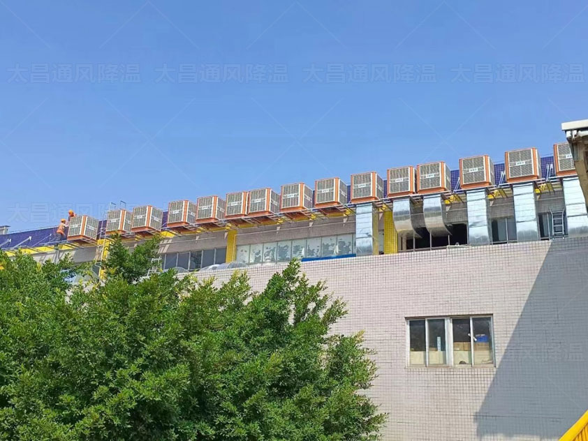 鐵皮廠房如何降溫，來這里了解更多方案