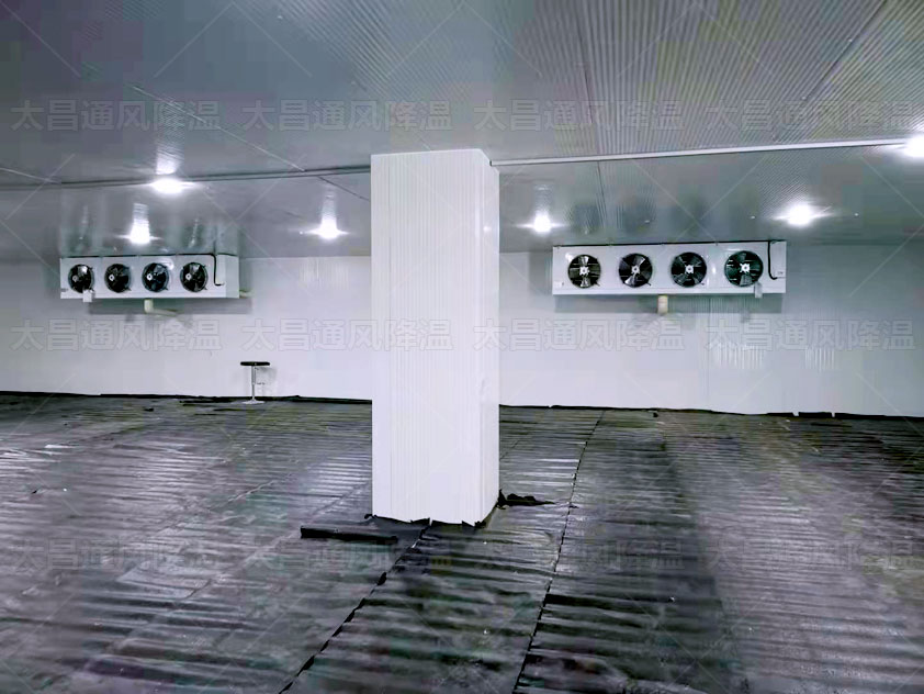 生鮮冷庫、物流冷庫冷鏈為農產(chǎn)品保駕護航