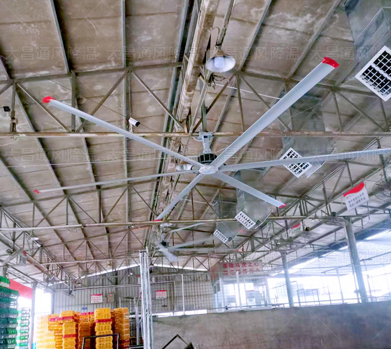 龍舟雨季,潤東方永磁工業大風扇幫助車間做好通風除濕