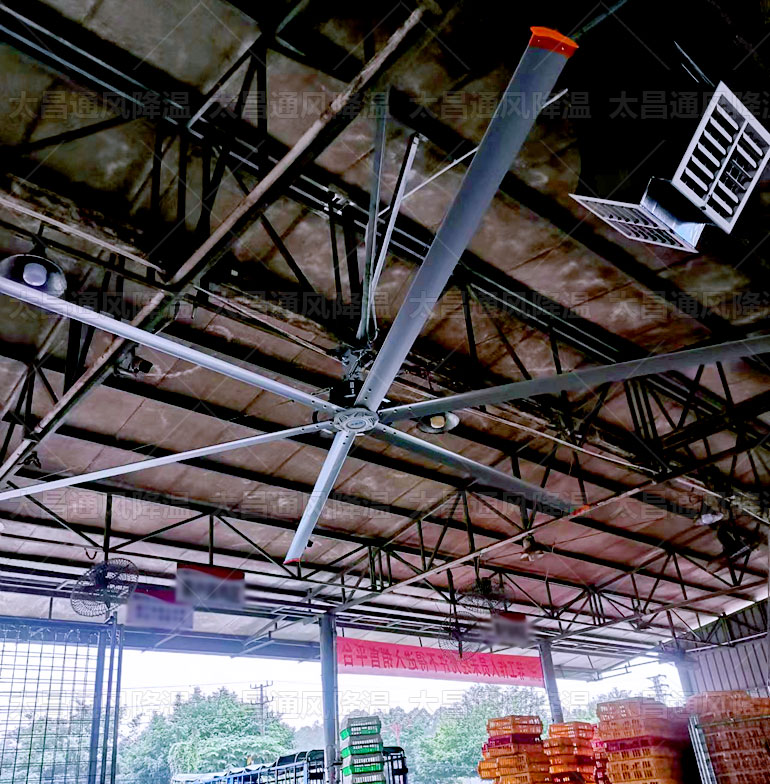 工業大風扇有幾種，看完這些你就知道了